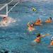 20091117 vasas-kosice dsc12906