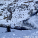 PIC04584