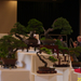 Pratteln Bonsai77