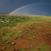 rainbow-western-australia-olson-763238-ga