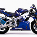 YZF-R1