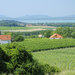 Wine region Balaton