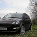 smart forfour 2011 005