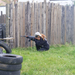 airsoft 071