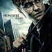 harry potter and the deathly hallows part i ver2 xlg