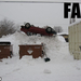 fail-owned-serious-winter-parking-fail