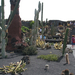 Jardín de Cactus[194] resize