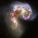 NGC 4038-4039