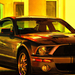 Mustang Shelby Cobra1S
