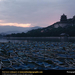 kunming-lake-rowboats-279721-sw (Medium)