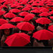 red-umbrellas-cobb-724048-sw (Medium)