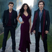 tvd-greystone1