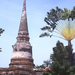 313 Ayutthaya