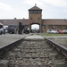 Birkenau