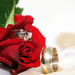 piros rózsa gyűrűkkel