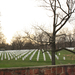 The Arlington Cemetery