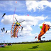 sunderland kite festival 6 400x300