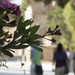 Jerash Day2 013