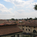 Mantova 2009 06 186