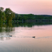 Szászvári tó