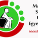 MSKE logo 4 copy