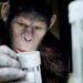 rise-of-the-apes (7)