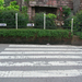 zebra crossing with no end