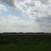 2008.06.22. Puszta 2