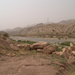 Iran3rdrun,dam 035