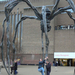 gigant spider