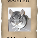wanted picur 1