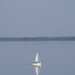 Balaton 2008.06.7-06.14 035