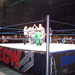 Smackdown ECW tour 85