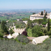 assisi18