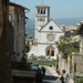 assisi118