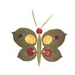 pillangó (2)