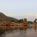 Srinagar: Dal lake