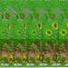 3d-kepek-sztereogram stereogram 00051