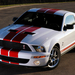 Ford-Mustang Shelby GT500 Red Stripe 2007 1280x960 wallpaper 01