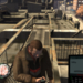 gtaiv-20081211-002704 (Small).png