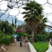 Eden Project-05