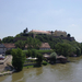 a péterváradi rőd a Duna-partján
