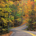q-Autumn Colors Road