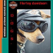 Harley davidson dogs