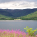 Loch Linnhe