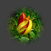 tulipán, magányos tündér