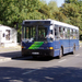 busz-080831 (3)