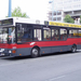 busz (17)