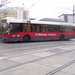 busz (7)