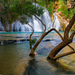 havasu-creek-waterall-xl (Medium)